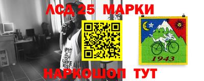 прущие грибы Коммунар