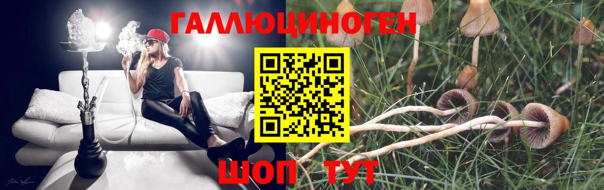 Сухой Лог  Псилоцибиновые грибы мицелий  Вход с VPN 