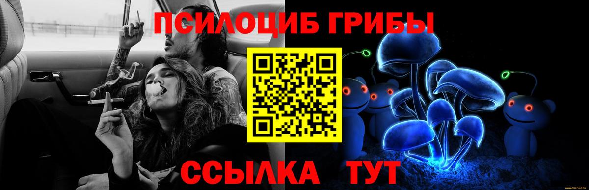 Галлюциногенные грибы прущие грибы Сухой Лог